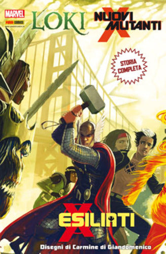MARVEL UNIVERSE 13