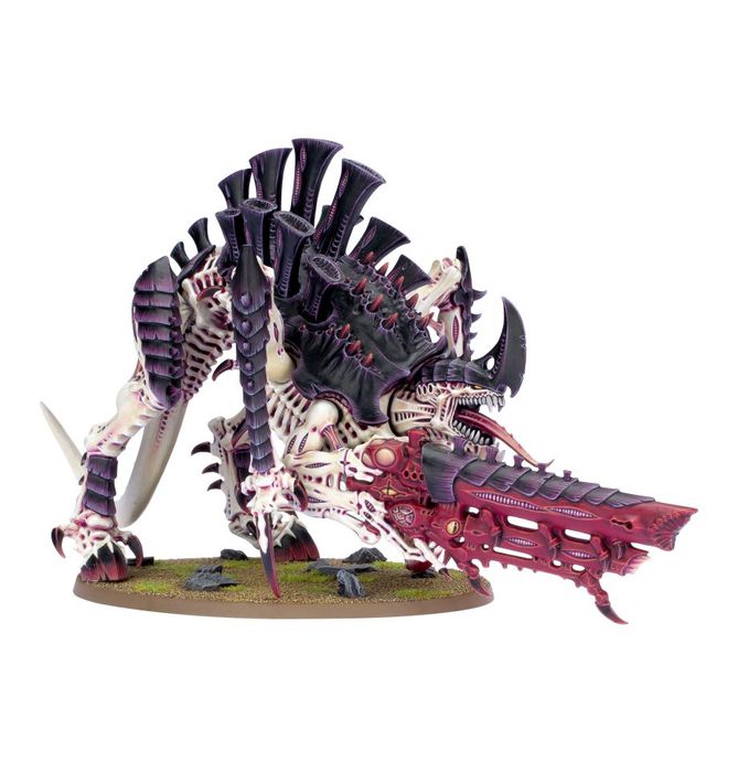 Tiranide Tirannofex  TIRANNIDI