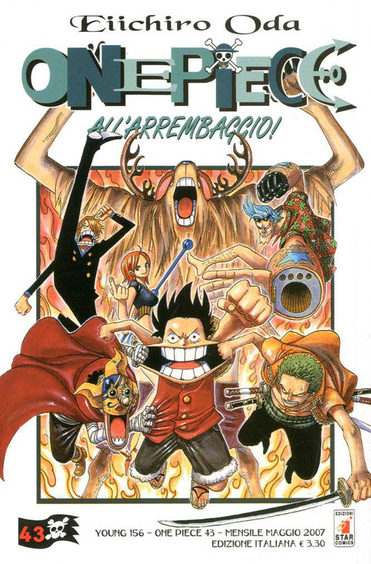 One piece 43