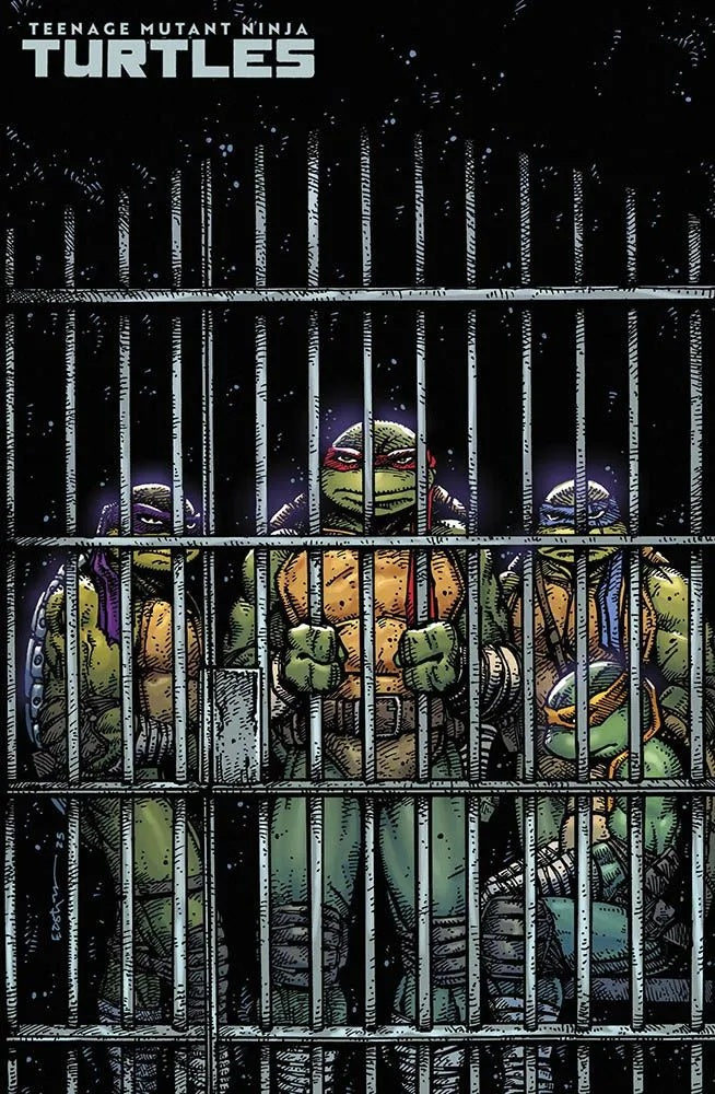 TEENAGE MUTANT NINJA TURTLES 11 VARIANT EASTMAN