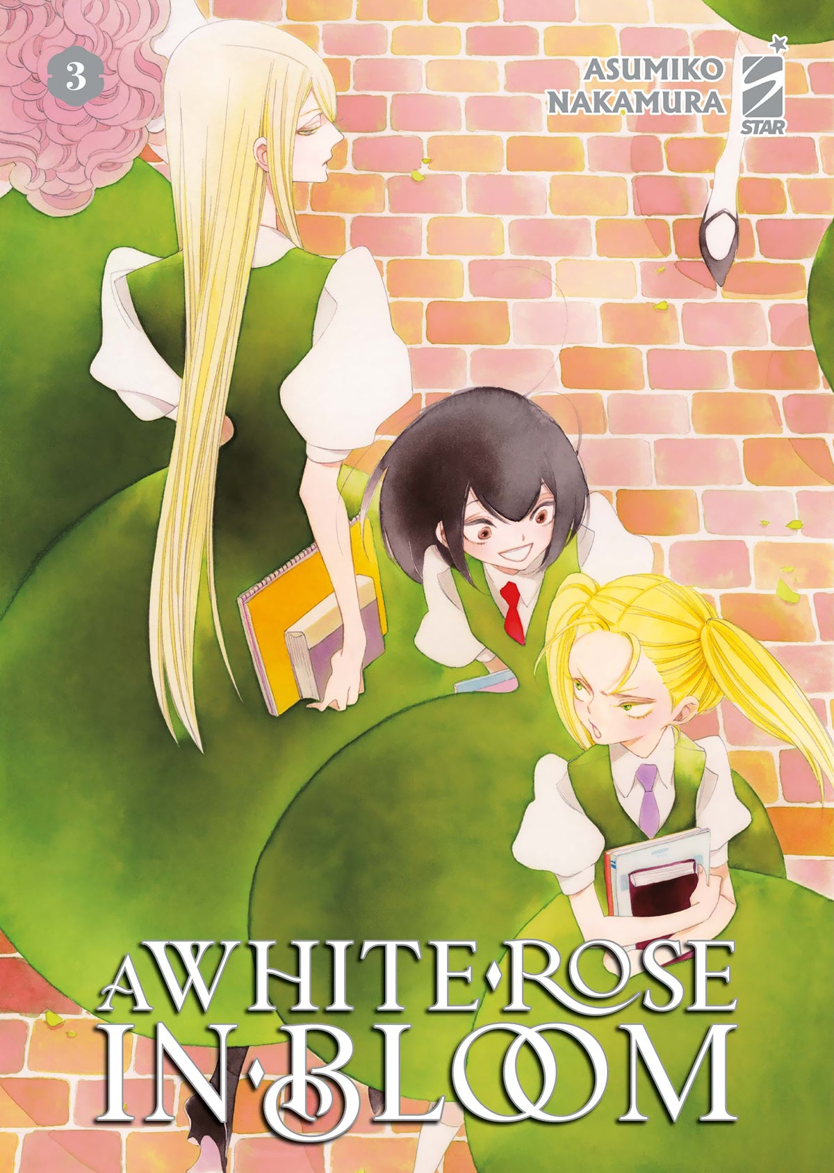 A white rose in bloom 3