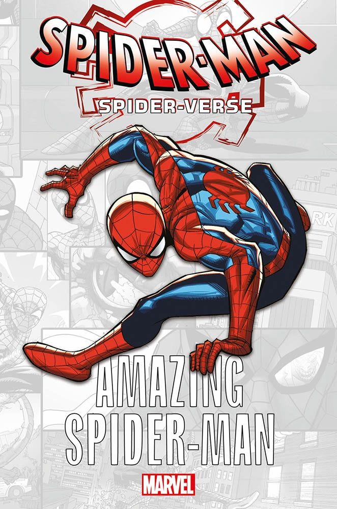 SPIDER-VERSE AMAZING SPIDER-MAN