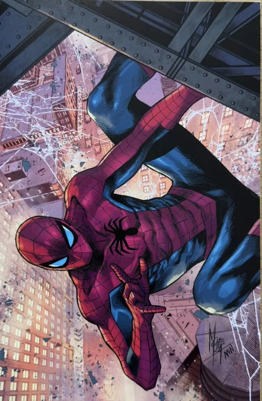Ultimate spider-man 2024) VARIANT