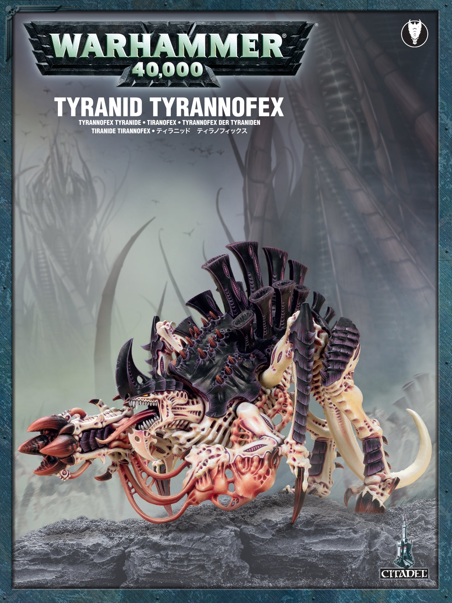 Tiranide Tirannofex  TIRANNIDI