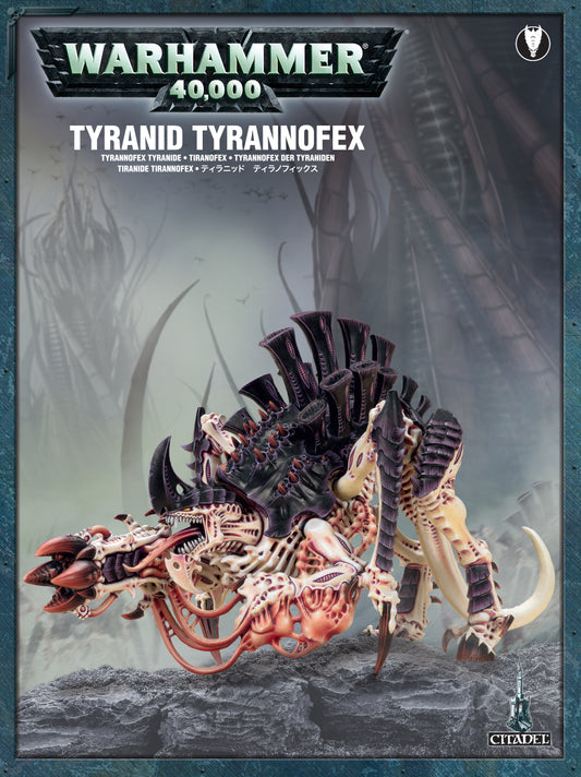 Tiranide Tirannofex  TIRANNIDI