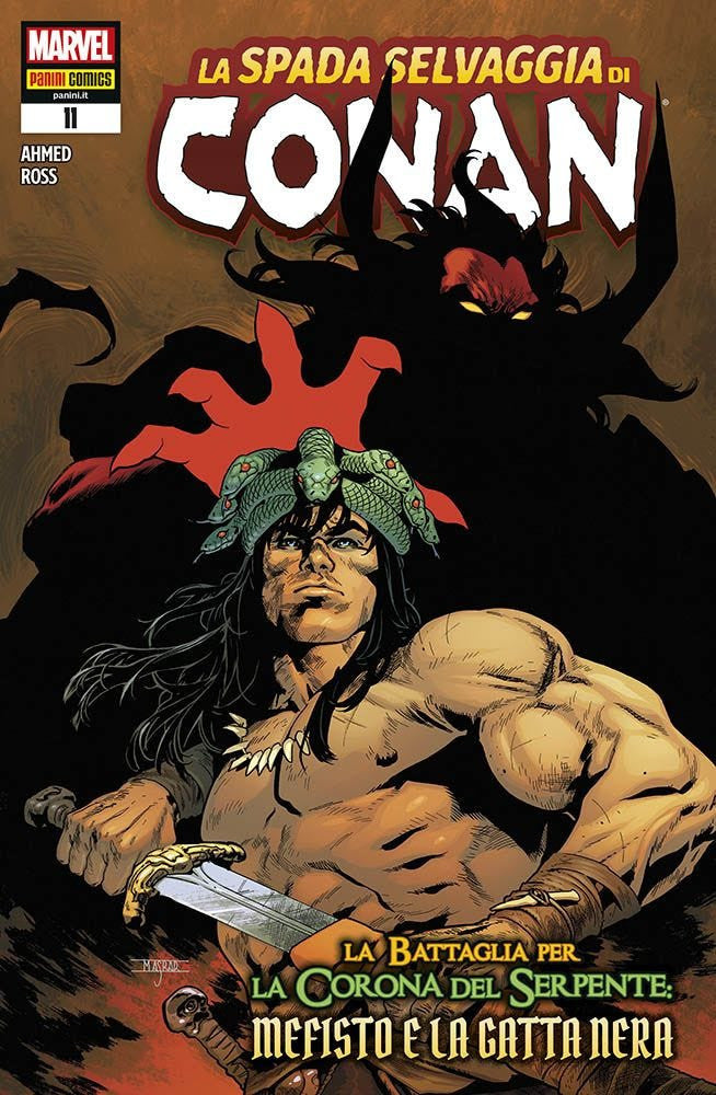 LA SPADA SELVAGGIA DI CONAN 11 11, PANINI COMICS, nuvolosofumetti,