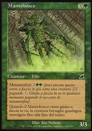 Mantobosco  FLAGELLO 134