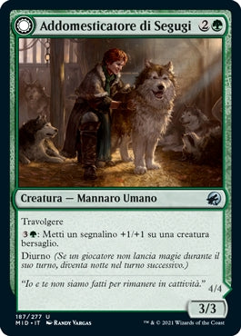 Innistrad caccia di mezzanotte 187 Addomesticatore di Segugi