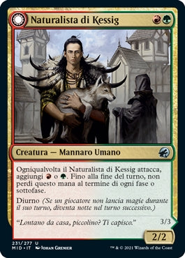 Innistrad caccia di mezzanotte 231 Naturalista di Kessig/Signore di Ulvenwald