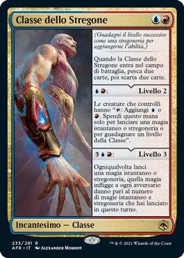 Avventure nei Forgotten Realms - Dungeon & Dragons Magic- 233 CLASSE DELLO STREGONE