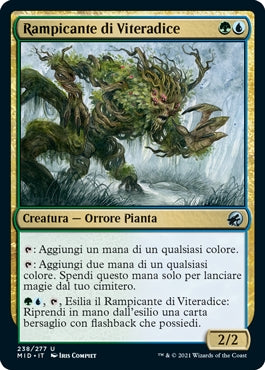 Innistrad caccia di mezzanotte 238 Rampicante di Viteradice