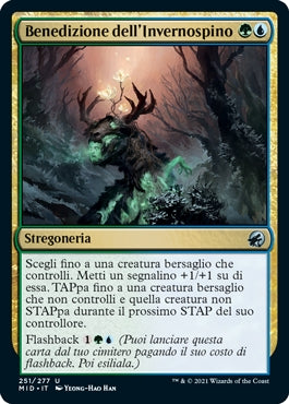 Innistrad caccia di mezzanotte 251 Benedizione dell'Invernospino