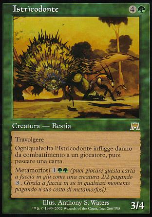 Istricodonte  ASSALTO 266