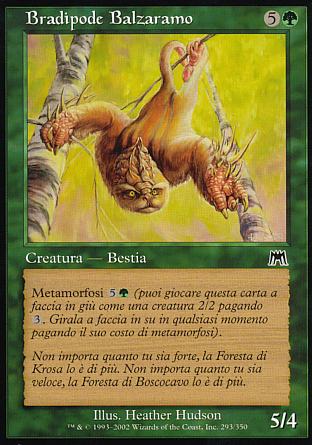 Bradipode balzaramo  ASSALTO 293