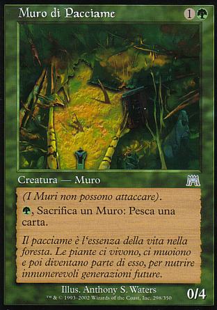 Muro di pacciame  ASSALTO 298