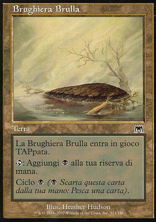 Brughiera brulla  ASSALTO 312