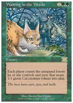 Agguato nel Sottobosco  SESTA 7266-Wizard of the Coast- nuvolosofumetti.