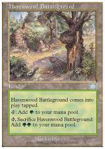 Campo di Battaglia di Havenwood SESTA 7325-Wizard of the Coast- nuvolosofumetti.
