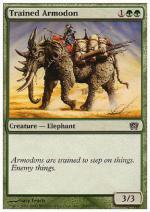 Armodonte Addestrato foil OTTAVA EDIZIONE 339-Wizard of the Coast- nuvolosofumetti.