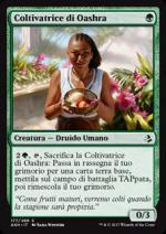 Coltivatrice di Oashra  Amonkhet 3177-Wizard of the Coast- nuvolosofumetti.
