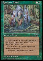 Druido di Fyndhorn  ALLEANZE 1136-Wizard of the Coast- nuvolosofumetti.