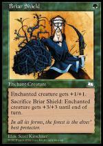 Scudo d'Erica  CAVALCAVENTO 3139-Wizard of the Coast- nuvolosofumetti.