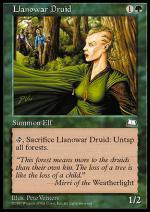 Druido di Llanowar  CAVALCAVENTO 3124-Wizard of the Coast- nuvolosofumetti.