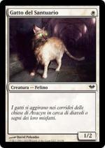 Gatto del Santuario  Ascesa Oscura 19-Wizard of the Coast- nuvolosofumetti.