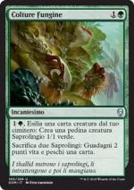 Colture Fungine  Dominaria 6160-Wizard of The Coast- nuvolosofumetti.