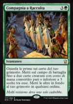 Compagnia a Raccolta  Draghi di Tarkir 4177-Wizard of the Coast- nuvolosofumetti.
