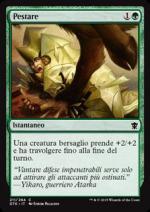 Pestare  Draghi di Tarkir 4211-Wizard of the Coast- nuvolosofumetti.