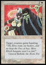 Cooperazione  ERA GLACIALE 6014-Wizard of the Coast- nuvolosofumetti.