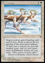 Formazione  ERA GLACIALE 6021-Wizard of the Coast- nuvolosofumetti.