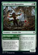 Il Trono di Eldraine 174