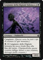 Cangiante della Digitale Selenica  Aurora 67-Wizard of the Coast- nuvolosofumetti.