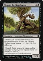 Pioppo Tagliaerbacce  Aurora 83-Wizard of the Coast- nuvolosofumetti.