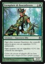 Esemplare di Boscodirovo  Aurora 115-Wizard of the Coast- nuvolosofumetti.