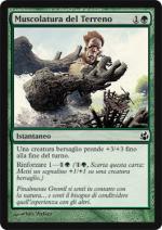 Muscolatura del Terreno  Aurora 119-Wizard of the Coast- nuvolosofumetti.