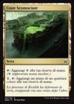 Coste Sconosciute Giuramento dei guardiani 5181-Wizard of the Coast- nuvolosofumetti.