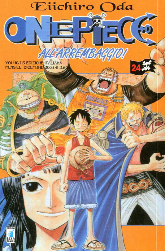 One Piece 24