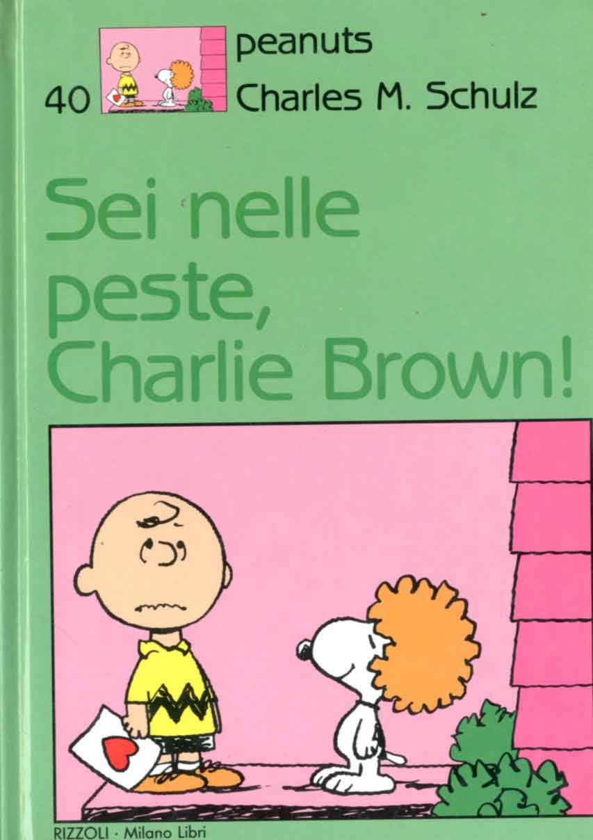 Peanuts - Cartonato 40