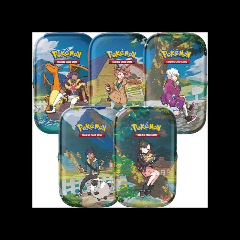 POKEMON 1 TIN DA COLLEZIONE random ZENIT REGALE SPADA E SCUDO