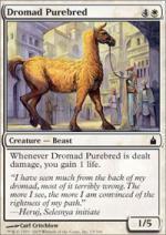 Purosangue Dromad RAVNICA 15-Wizard of the Coast- nuvolosofumetti.