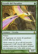 Uccelli del Paradiso RAVNICA 153-Wizard of the Coast- nuvolosofumetti.