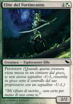 elite del fortincanto Landa Tenebrosa 239-Wizard of the Coast- nuvolosofumetti.