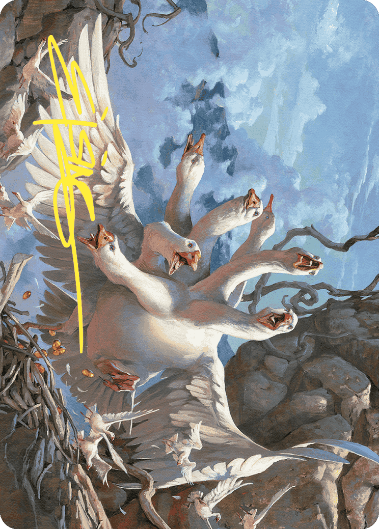 Terre selvagge di Eldraine 351