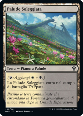 PALUDE SOLEGGIATA  Dominaria Unita 257