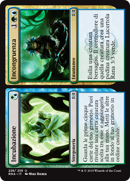 Incubazione/Incongruenza Fedeltà di Ravnica 226-Wizard of the Coast- nuvolosofumetti.