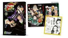 Demon Slayer 13 variant 13