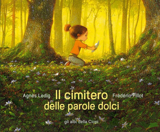 IL CIMITERO DELLE PAROLE DOLCI